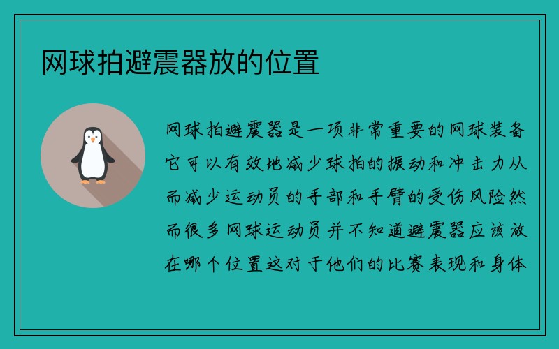 网球拍避震器放的位置